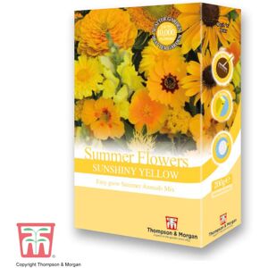 THOMPSON & MORGAN Scatter Seed Pack Summer Flowers Colour Theme Yellow 1 Pack
