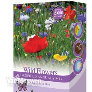 THOMPSON & MORGAN Thompson&morgan - Scatter Seed Pack Wild Flowers Cornfield Annuals Mix 1 Pack