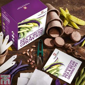 THOMPSON & MORGAN Thompson&morgan - Seed Grow Kit Kaleidoscope Pea + Bean
