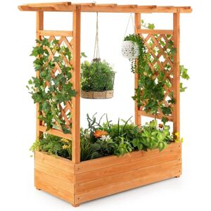 Costway - Raised Garden Bed Planter Box w/ Side & Top Trellis for Vine Climbing Plants