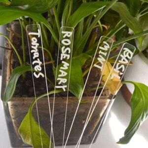 MCBOSON 1 set of 12 plant pot labels - long, plastic labels, miniature plants, vegetable garden signs, garden label stakes MCBOSON 1 set of 12 plant pot labels - long, plastic labels, miniature plants, vegetable garden signs, garden label stakes