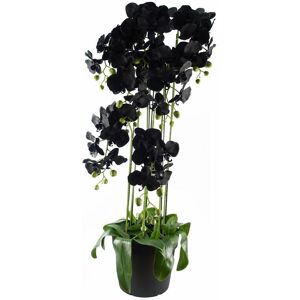 Leaf 110cm Large Black Orchid Plant - Artifcial - 41 REAL TOUCH flowers Leaf 110cm Large Black Orchid Plant - Artifcial - 41 REAL TOUCH flowers