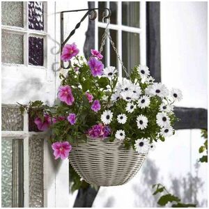 Smart Garden - 35cm 14 Inch Rattan Effect Hanging Basket Seashell Cream Planter Smart Garden - 35cm 14 Inch Rattan Effect Hanging Basket Seashell Cream Planter