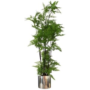 Leaf - 150cm Artificial Natural Moss Base Fern Foliage Plant with Silver Metal Plater Leaf - 150cm Artificial Natural Moss Base Fern Foliage Plant with Silver Metal Plater