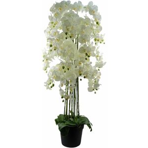 Leaf 150cm Giant White Orchid Plant - Artificial - 189 flowers REAL TOUCH Leaf 150cm Giant White Orchid Plant - Artificial - 189 flowers REAL TOUCH