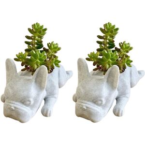 TLILY 2PCS French Bulldog Shape Resin Planter Mini Puppys Plants Planter,Desktop Plant Pot Dog Bonsai TLILY 2PCS French Bulldog Shape Resin Planter Mini Puppys Plants Planter,Desktop Plant Pot Dog Bonsai