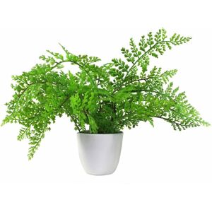 Leaf 30cm Artificial Potted Royal Fern Leaf 30cm Artificial Potted Royal Fern