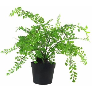 Leaf 35cm Artificial Potted Fern Plant (Southern Maidenhair Fern) Leaf 35cm Artificial Potted Fern Plant (Southern Maidenhair Fern)