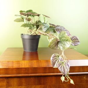 Leaf - 35cm Artificial Trailing Purple Potted Pothos Plant Realistic Leaf - 35cm Artificial Trailing Purple Potted Pothos Plant Realistic