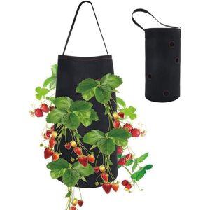 LINGHHANG (38 x 22cm) Strawberry Planting Bag Grow Bags Garden Planting Bag for Strawberry for Garden Plants Herbs Flowers LINGHHANG (38 x 22cm) Strawberry Planting Bag Grow Bags Garden Planting Bag for Strawberry for Garden Plants Herbs Flowers