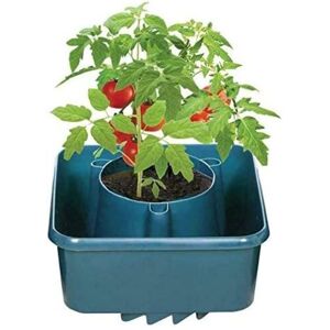 GARDEN MILE 3x Tomato Grow Bag Plant Pots, Greenhouses Garden Pots Hardwearing Green Plastic for Tomatoes, Strawberries, Herbs or Outdoor Growing Plants GARDEN MILE 3x Tomato Grow Bag Plant Pots, Greenhouses Garden Pots Hardwearing Green Plastic for Tomatoes, Strawberries, Herbs or Outdoor Growing Plants