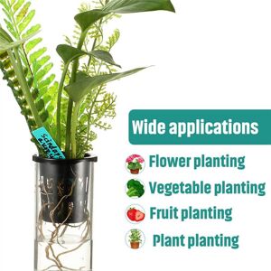 Tlily - 400 Pack Mesh Cups 2.36 Inch Slotted Wide Filter Single Lip Plant Pot Net Basket Bucket for Aquaponic Hydroponic Orchids Tlily - 400 Pack Mesh Cups 2.36 Inch Slotted Wide Filter Single Lip Plant Pot Net Basket Bucket for Aquaponic Hydroponic Orchids