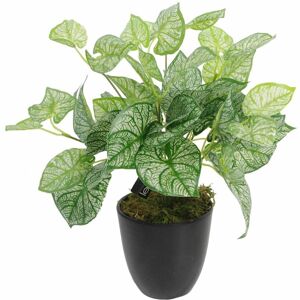 Leaf 40cm Artificial Caladium Plant with pot Leaf 40cm Artificial Caladium Plant with pot