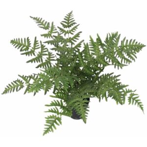Leaf 50cm Luxury Artificial Evergreen Fern Plant Leaf 50cm Luxury Artificial Evergreen Fern Plant