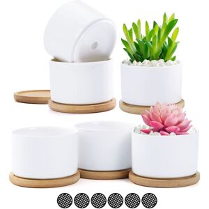 BEIJIYI 6 Pcs White Ceramic Succulent Plant Pots, Small Containers with Bamboo Tray for Flowering Plants, Herbs, Wedding, Christmas, Birthday Gift BEIJIYI 6 Pcs White Ceramic Succulent Plant Pots, Small Containers with Bamboo Tray for Flowering Plants, Herbs, Wedding, Christmas, Birthday Gift