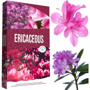 STORM TRADING GROUP 2 x 60L Ericaceous Plant Soil Specially Formulated With Essential Nutrients STORM TRADING GROUP 2 x 60L Ericaceous Plant Soil Specially Formulated With Essential Nutrients