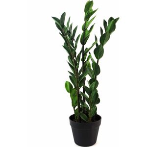 Leaf - 75cm Artificial Zanzibar Green Gem Zamioculcas Succulent Indoor Plant Leaf - 75cm Artificial Zanzibar Green Gem Zamioculcas Succulent Indoor Plant