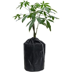 Alwaysh - Winter Covers for Potted Plants, Thermal Protection Bag for Flower Pot, Winter Frost Protection Bag for Potted Plants, Black, 45 55cm Alwaysh - Winter Covers for Potted Plants, Thermal Protection Bag for Flower Pot, Winter Frost Protection Bag for Potted Plants, Black, 45 55cm