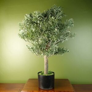 Leaf Artificial Artemisa Evergreen Shrub Plant Leaf Artificial Artemisa Evergreen Shrub Plant