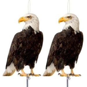 TEHTUY Bird scarer, Anti-pigeon bird scarer, Pigeon repellent, Pigeon scarer for balconies, Bird repellent for gardens, Pack of 2 TEHTUY Bird scarer, Anti-pigeon bird scarer, Pigeon repellent, Pigeon scarer for balconies, Bird repellent for gardens, Pack of 2