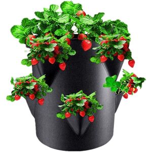 CCYKXA Generic Strawberry Planting Bag, Vegetable Garden Growing Bag for Potatoes, 45 x 35 cm, Planting Bag for Strawberries and Small Vegetables CCYKXA Generic Strawberry Planting Bag, Vegetable Garden Growing Bag for Potatoes, 45 x 35 cm, Planting Bag for Strawberries and Small Vegetables