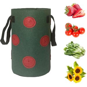 Csparkv - 12-Hole Strawberry Growing Bag, Strawberry Growing Bag, Garden Hanging Strawberry Flower Pot, Multifunctional Vegetable And Flower Csparkv - 12-Hole Strawberry Growing Bag, Strawberry Growing Bag, Garden Hanging Strawberry Flower Pot, Multifunctional Vegetable And Flower