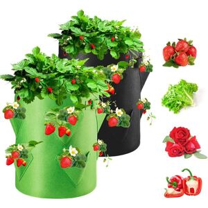 Csparkv - Strawberry Grow Bags, 2PCS 40L/10 Gallon Vegetable Bag, Non-woven Fabric Planting Bag with Window, Garden Vegetable Bag Csparkv - Strawberry Grow Bags, 2PCS 40L/10 Gallon Vegetable Bag, Non-woven Fabric Planting Bag with Window, Garden Vegetable Bag