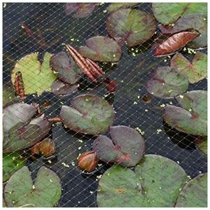 Garden Mile - Garden Pond & Fruit Cage Netting Black 2x5m & 2x10m Gardening Anti Bird Pond Plant Protection Mesh Pest Control Pea Fruit Netting Garden Mile - Garden Pond & Fruit Cage Netting Black 2x5m & 2x10m Gardening Anti Bird Pond Plant Protection Mesh Pest Control Pea Fruit Netting