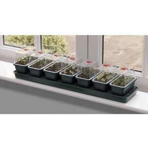 Garland - Super 7 Self Watering Windowsill Propagator - 14 Days Watering Garland - Super 7 Self Watering Windowsill Propagator - 14 Days Watering