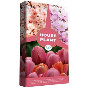 STORM TRADING GROUP 1 x 10L House Plant Compost Ideal For Indoor & Outdoor House Plants With Added Nutrients STORM TRADING GROUP 1 x 10L House Plant Compost Ideal For Indoor & Outdoor House Plants With Added Nutrients