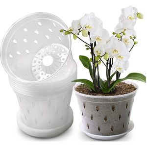 Linghhang - Inch Plastic Orchid Pots Without Tray, Clear Orchid Planting Pots, Plant Root Control Net Pots with Holes, 10 Pcs Linghhang - Inch Plastic Orchid Pots Without Tray, Clear Orchid Planting Pots, Plant Root Control Net Pots with Holes, 10 Pcs