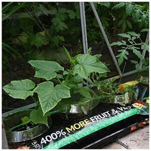 THOMPSON & MORGAN Thompson&morgan - Incredicrop Grow Bag 35 Litre Bag x 1 THOMPSON & MORGAN Thompson&morgan - Incredicrop Grow Bag 35 Litre Bag x 1