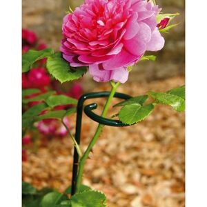 Large Single Stem Support Bare Metal/Ready to Rust (Pack of 4) - Steel - L5 x W5 x H90 cm Large Single Stem Support Bare Metal/Ready to Rust (Pack of 4) - Steel - L5 x W5 x H90 cm