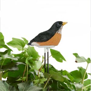 ANPVIZ Moisture Detector, Mini Intelligent Soil Moisture Detector, Suitable for Flowers and Potted Plants, Bird Shape, 90 x 180 mm, Black ANPVIZ Moisture Detector, Mini Intelligent Soil Moisture Detector, Suitable for Flowers and Potted Plants, Bird Shape, 90 x 180 mm, Black
