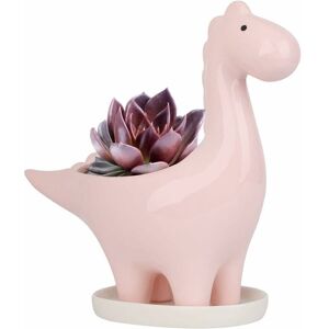 LUNE MoonCeramic Succulent Pot with Saucer, Dinosaur Shape Cactus Flower Pot, Mini Indoor Plant Pot Gift Decoration for Home Office Bonsai Planter LUNE MoonCeramic Succulent Pot with Saucer, Dinosaur Shape Cactus Flower Pot, Mini Indoor Plant Pot Gift Decoration for Home Office Bonsai Planter