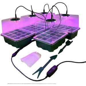 Selections - Plant Propagator Seed Tray Set with Full Spectrum usb Grow Lights (Pack of 5) Selections - Plant Propagator Seed Tray Set with Full Spectrum usb Grow Lights (Pack of 5)