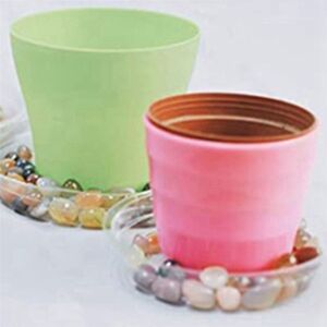 TLILY Plant Saucers, 30cm (12 Inch) Pack, Clear Drip Trays for Indoor and Outdoor Plants Flower Pot, Clear Garden TLILY Plant Saucers, 30cm (12 Inch) Pack, Clear Drip Trays for Indoor and Outdoor Plants Flower Pot, Clear Garden