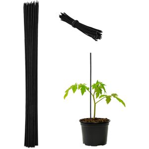 Relaxdays - Set of 50 Plant Support Sticks, Bamboo, 60 x 0.6 cm, Climbing Aid for Young Plants, with Binding Wires, Black Relaxdays - Set of 50 Plant Support Sticks, Bamboo, 60 x 0.6 cm, Climbing Aid for Young Plants, with Binding Wires, Black