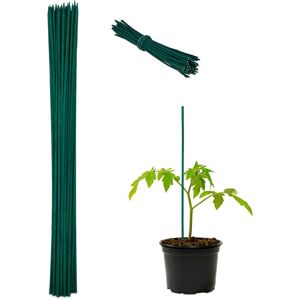 Relaxdays Set of 50 Plant Support Sticks, Bamboo, 60 x 0.6 cm, Climbing Aid for Young Plants, Binding Wire, Dark Green Relaxdays Set of 50 Plant Support Sticks, Bamboo, 60 x 0.6 cm, Climbing Aid for Young Plants, Binding Wire, Dark Green