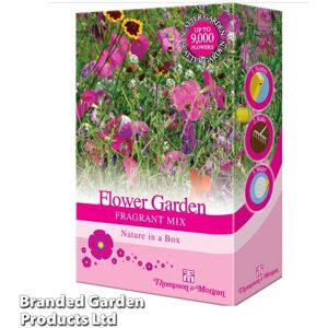 THOMPSON & MORGAN Thompson&morgan - Scatter Seed Pack Flower Garden Fragrant Mix 1 Pack THOMPSON & MORGAN Thompson&morgan - Scatter Seed Pack Flower Garden Fragrant Mix 1 Pack