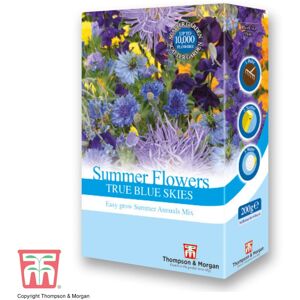 THOMPSON & MORGAN Scatter Seed Pack Summer Flowers Colour Theme Blue 1 Pack THOMPSON & MORGAN Scatter Seed Pack Summer Flowers Colour Theme Blue 1 Pack