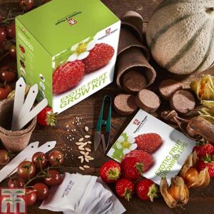 THOMPSON & MORGAN Thompson&morgan - Seed Grow Kit Exotic Fruit THOMPSON & MORGAN Thompson&morgan - Seed Grow Kit Exotic Fruit