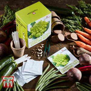 THOMPSON & MORGAN Thompson&morgan - Seed Grow Kit Gourmet Kitchen THOMPSON & MORGAN Thompson&morgan - Seed Grow Kit Gourmet Kitchen