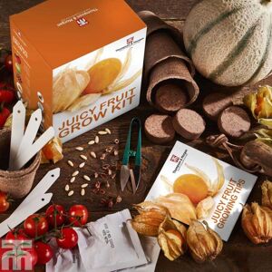 THOMPSON & MORGAN Thompson&morgan - Seed Grow Kit Juicy Fruits THOMPSON & MORGAN Thompson&morgan - Seed Grow Kit Juicy Fruits