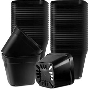 TONCHEAN Seedling Pots, 10cm 50 Pieces Nursery Pots, Reusable Plastic Square Seedling Pot/Seedling Pots/Transplanting Pot/Growing Pot for Indoor and Outdoor TONCHEAN Seedling Pots, 10cm 50 Pieces Nursery Pots, Reusable Plastic Square Seedling Pot/Seedling Pots/Transplanting Pot/Growing Pot for Indoor and Outdoor