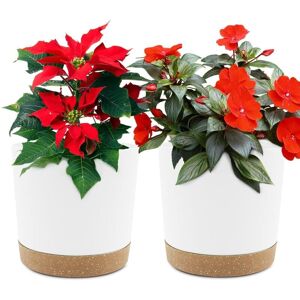 BEIJIYI Set of 2 16.5cm Plant Pots, Indoor Planters with Drainage Holes and Removable Base, Modern Decorative Saucer for Outdoor Planters (White 16.5cm) BEIJIYI Set of 2 16.5cm Plant Pots, Indoor Planters with Drainage Holes and Removable Base, Modern Decorative Saucer for Outdoor Planters (White 16.5cm)