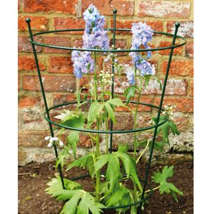 Small Peony Support (Pack of 2) - Steel - L40.6 x W40.6 x H63.5 cm - Bare Metal/Ready to Rust Small Peony Support (Pack of 2) - Steel - L40.6 x W40.6 x H63.5 cm - Bare Metal/Ready to Rust