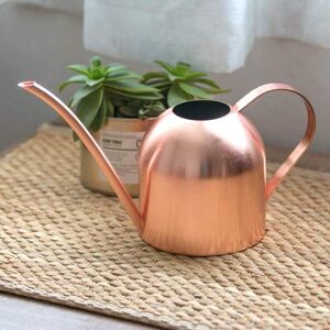 Memkey - Stainless Steel Plant Watering Can, Indoor Garden Metal Watering Can Long Mouth Outdoor Watering Can with Spout for Home Plants Garden Memkey - Stainless Steel Plant Watering Can, Indoor Garden Metal Watering Can Long Mouth Outdoor Watering Can with Spout for Home Plants Garden