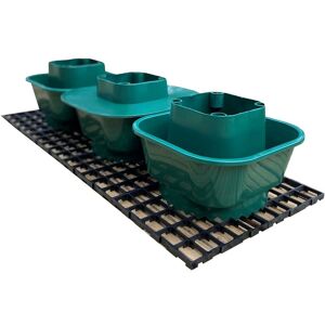 Selections - Tomato Growbag Watering Pot Kit- Set of 3 Pots with Planting Guard & Growbag Mat Selections - Tomato Growbag Watering Pot Kit- Set of 3 Pots with Planting Guard & Growbag Mat