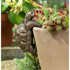 Tortoise Plant Pot Hanger - L11 x W6 x H7.5 cm Tortoise Plant Pot Hanger - L11 x W6 x H7.5 cm